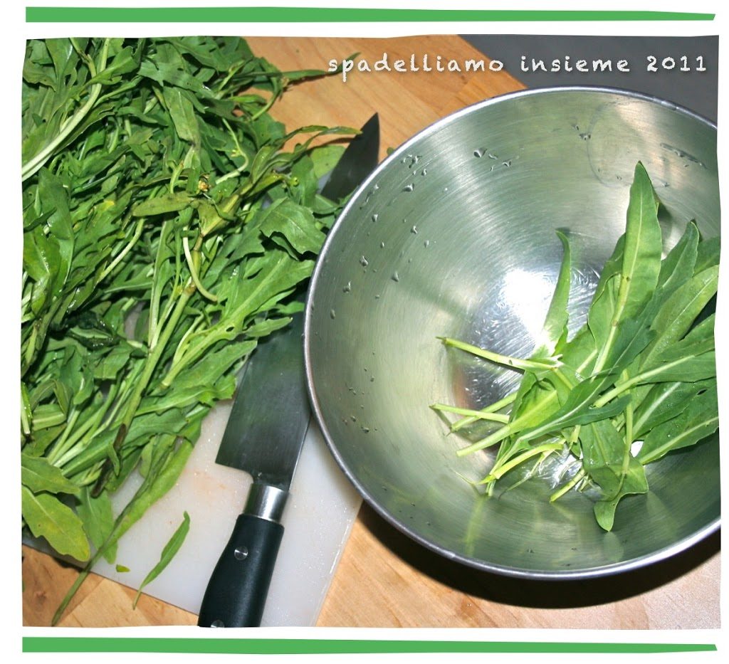 rucola-selvatica_spadelliamo