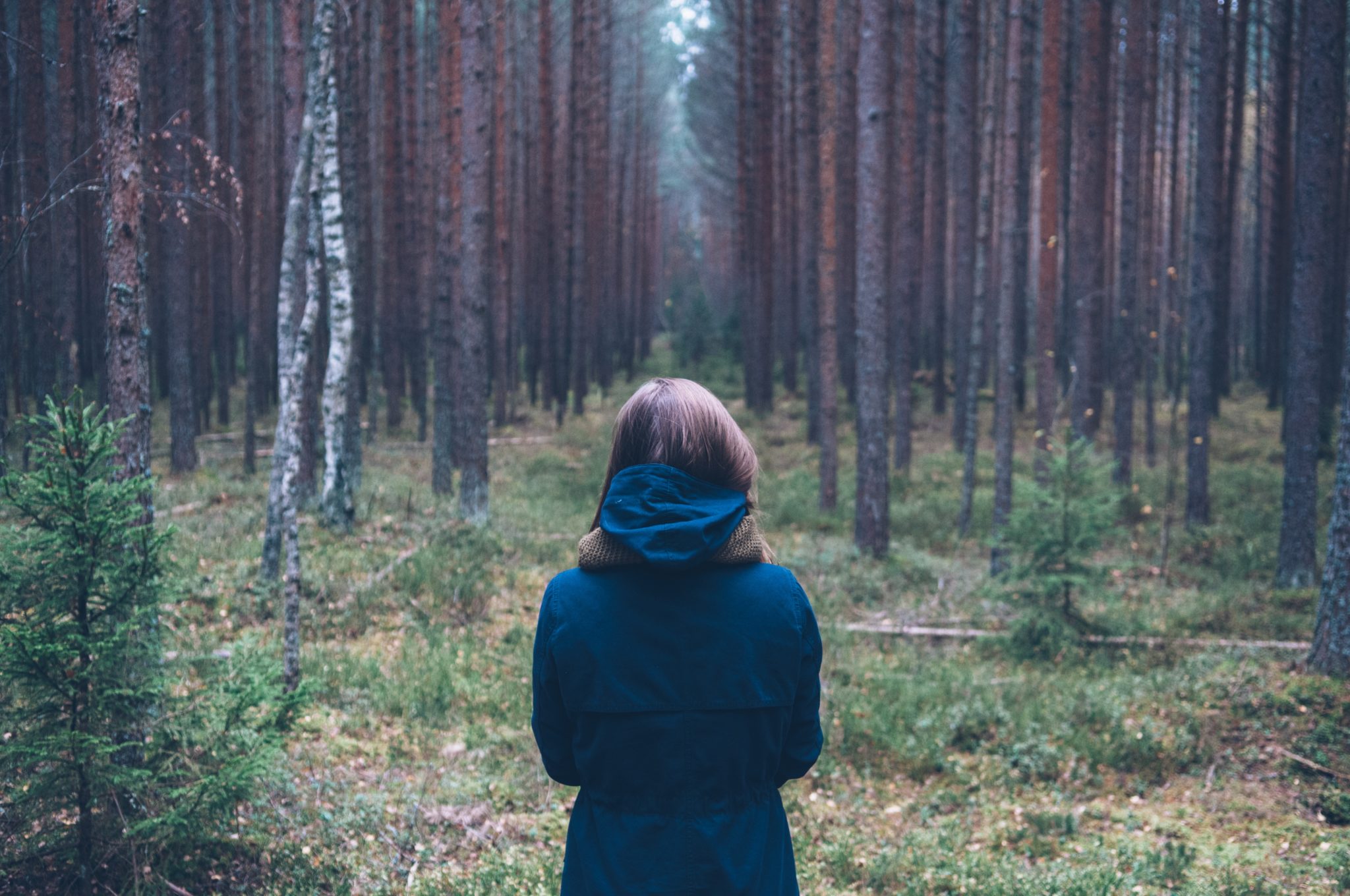credits image: Jordan Sanchez/Unsplash