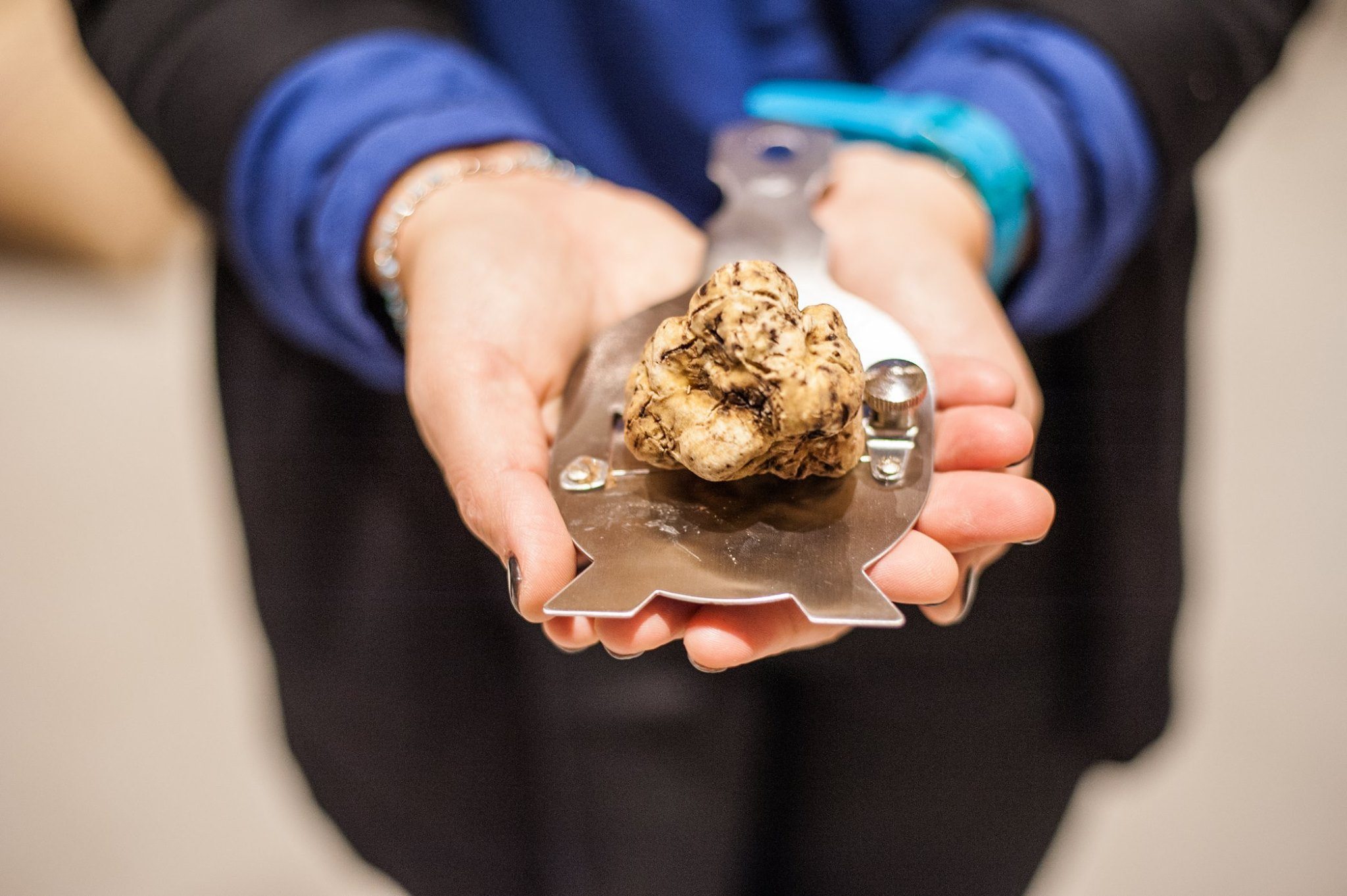 fiera-internazionale-tartufo-bianco-alba