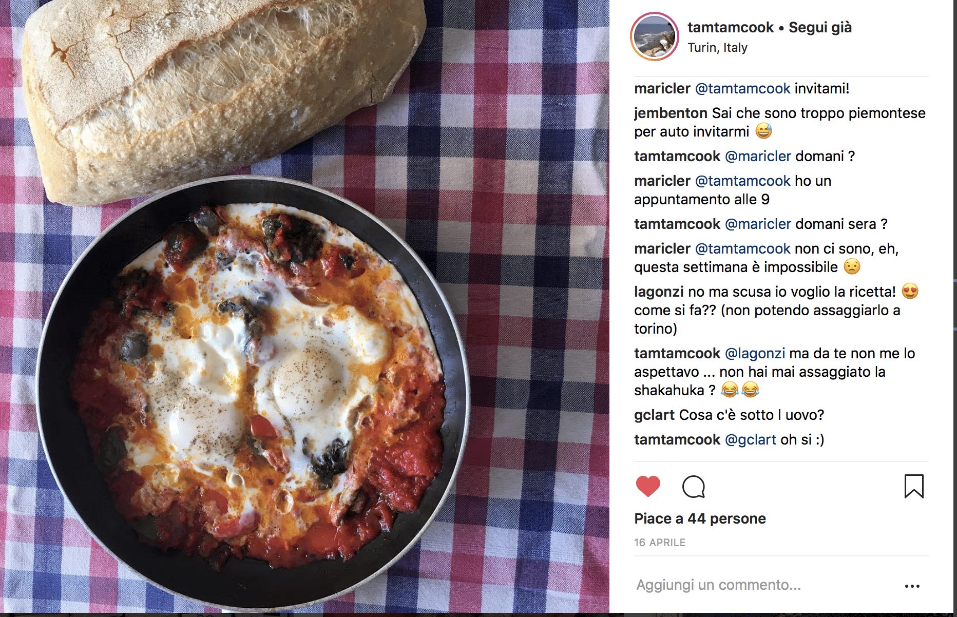 shakshuka by tamtamcoock_spadelliamo shakshuka by tamtamcoock_spadelliamo